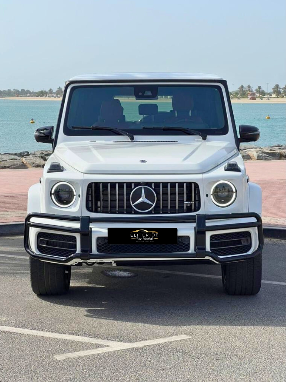 carrental3-details-pic1