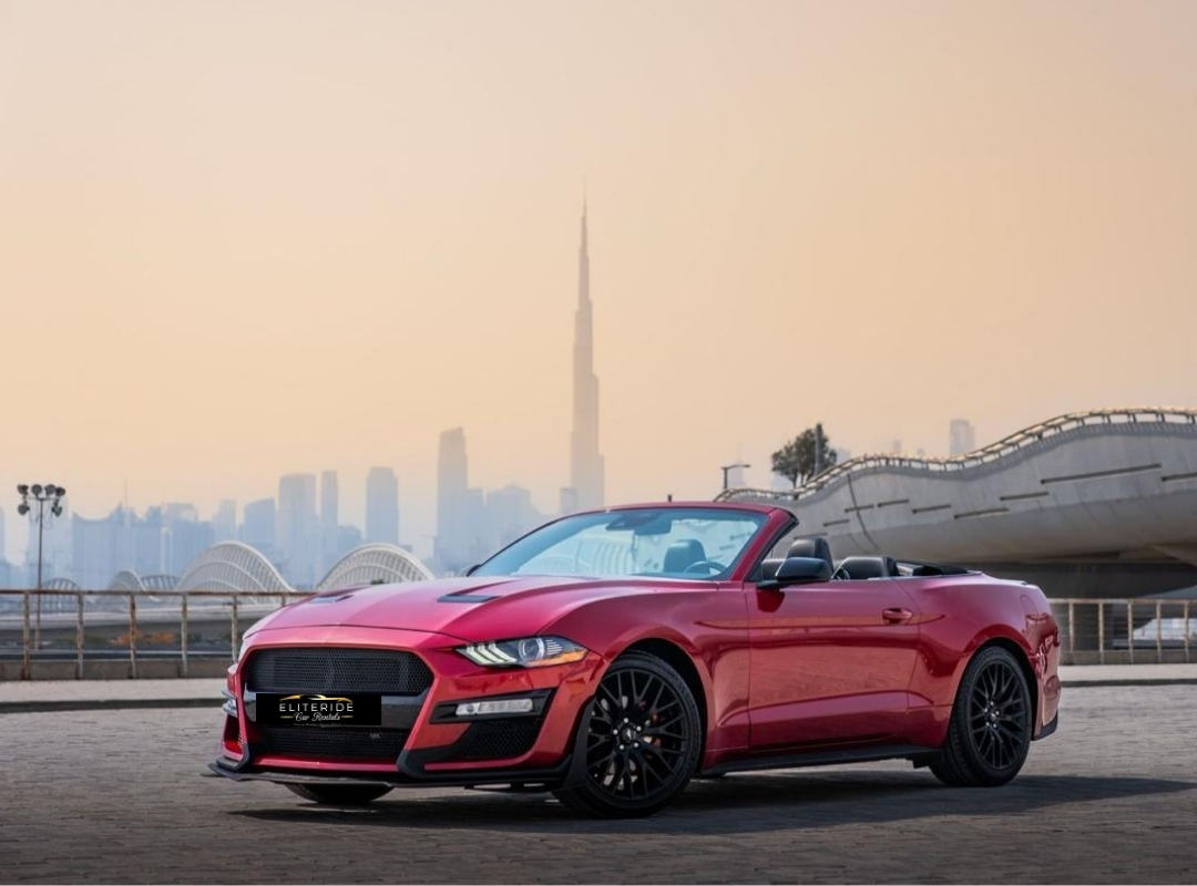 carrental3-details-pic1