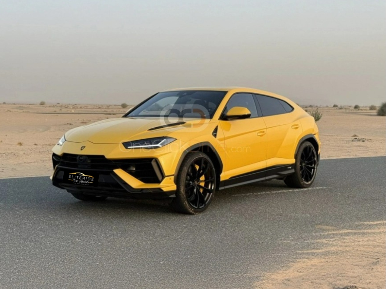 carrental3-details-pic1